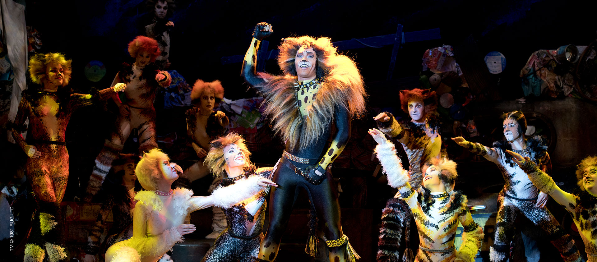 Self Drafted I Made A Rum Tum Tugger Costume For A Client Sewing Crafts Handmade Quilting Fabric V Cats The Musical Costume Cats Musical Jellicle Cats